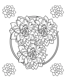 succulent colouring pages, succulent coloring pages for adults, succulent coloring page printable, succulent coloring page pdf, succulent coloring page free printable, succulent coloring page for adults, succulent coloring page easy, Succulent, plant coloring pages pdf, plant coloring pages for adults, plant coloring pages, pages, Cute, Coloring - Cute Succulent
 coloring pages