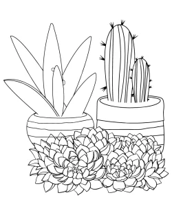 succulent coloring pages printable, succulent coloring page printable, succulent coloring page pdf, succulent coloring page free printable, succulent coloring page for adults, succulent coloring page, Succulent, Potted, plant coloring pages pdf, plant coloring pages for kindergarten, plant coloring pages for kids, plant coloring pages, pages, Coloring - Potted Succulent
 coloring pages