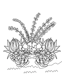 succulent colouring pages, succulent coloring pages printable, succulent coloring pages for adults, succulent coloring page printable, succulent coloring page pdf, succulent coloring page free printable, succulent coloring page, Succulent, Realistic, plant coloring pages pdf, plant coloring pages for kids, plant coloring pages, pages, Coloring - Realistic Succulent
 coloring pages