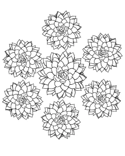 succulent colouring pages, succulent coloring pages printable, succulent coloring page printable, succulent coloring page for adults, succulent coloring page easy, succulent coloring page, Succulent, Simple, plant coloring pages pdf, plant coloring pages for kids, plant coloring pages for adults, plant coloring pages, pages, Coloring - Simple Succulent
 coloring pages