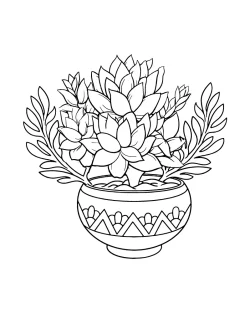 succulent colouring pages, succulent coloring pages printable, succulent coloring pages for adults, succulent coloring page pdf, succulent coloring page, Succulent, plant coloring pages pdf, plant coloring pages for kindergarten, plant coloring pages for kids, plant coloring pages for adults, plant coloring pages, pages, Coloring, Arrangement - Succulent Arrangement
 coloring pages