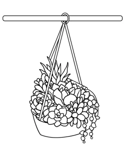 succulent colouring pages, succulent coloring pages printable, succulent coloring page printable, succulent coloring page pdf, succulent coloring page free printable, succulent coloring page easy, succulent coloring page, Succulent, plant coloring pages for kids, plant coloring pages for adults, plant coloring pages, pages, Coloring, Bouquet - Succulent Bouquet
 coloring pages