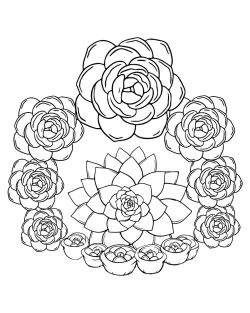 succulent colouring pages, succulent coloring pages printable, succulent coloring pages for adults, succulent coloring page printable, succulent coloring page free printable, succulent coloring page for adults, succulent coloring page easy, succulent coloring page, Succulent, plant coloring pages for kindergarten, plant coloring pages, pages, Flower, Coloring - Succulent Flower
 coloring pages