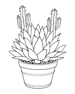 succulent colouring pages, succulent coloring pages printable, succulent coloring page printable, succulent coloring page pdf, succulent coloring page free printable, succulent coloring page for adults, succulent coloring page easy, succulent coloring page, Succulent, Pot, plant coloring pages pdf, plant coloring pages for kindergarten, pages, Coloring - Succulent in a Pot
 coloring pages