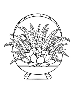 succulent colouring pages, succulent coloring pages printable, succulent coloring page printable, succulent coloring page pdf, succulent coloring page for adults, Succulent, plant coloring pages pdf, plant coloring pages for kindergarten, plant coloring pages for kids, plant coloring pages for adults, plant coloring pages, pages, Leaves, Coloring - Succulent Leaves
 coloring pages