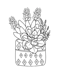 Watercolor, succulent colouring pages, succulent coloring pages printable, succulent coloring pages for adults, succulent coloring page printable, succulent coloring page easy, succulent coloring page, Succulent, Style, plant coloring pages pdf, plant coloring pages for kindergarten, plant coloring pages for kids, plant coloring pages for adults, pages, Coloring - Succulent Watercolor Style
 coloring pages