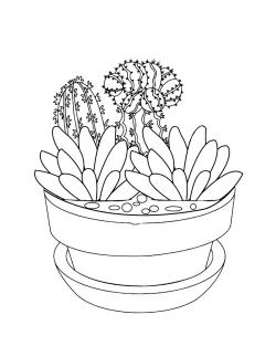 Watercolor, succulent coloring pages for adults, succulent coloring page printable, succulent coloring page pdf, succulent coloring page free printable, succulent coloring page for adults, succulent coloring page, Succulent, Style, plant coloring pages pdf, plant coloring pages for kindergarten, plant coloring pages for adults, plant coloring pages, pages, Coloring - Succulent Watercolor Style
 coloring pages